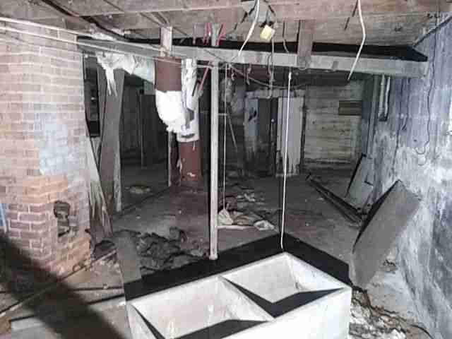 Testing again(45).jpg